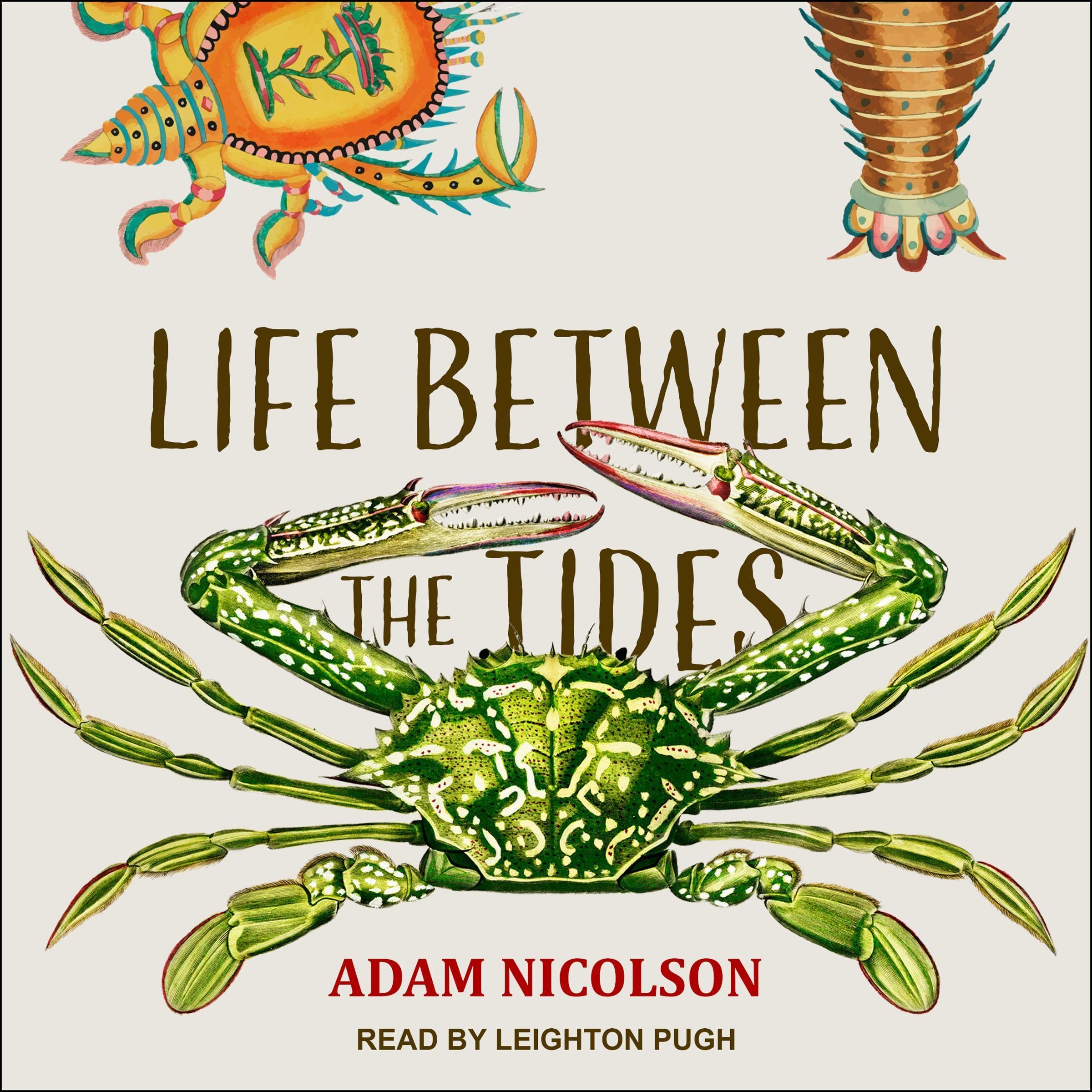 Cover art for Life Between the Tides