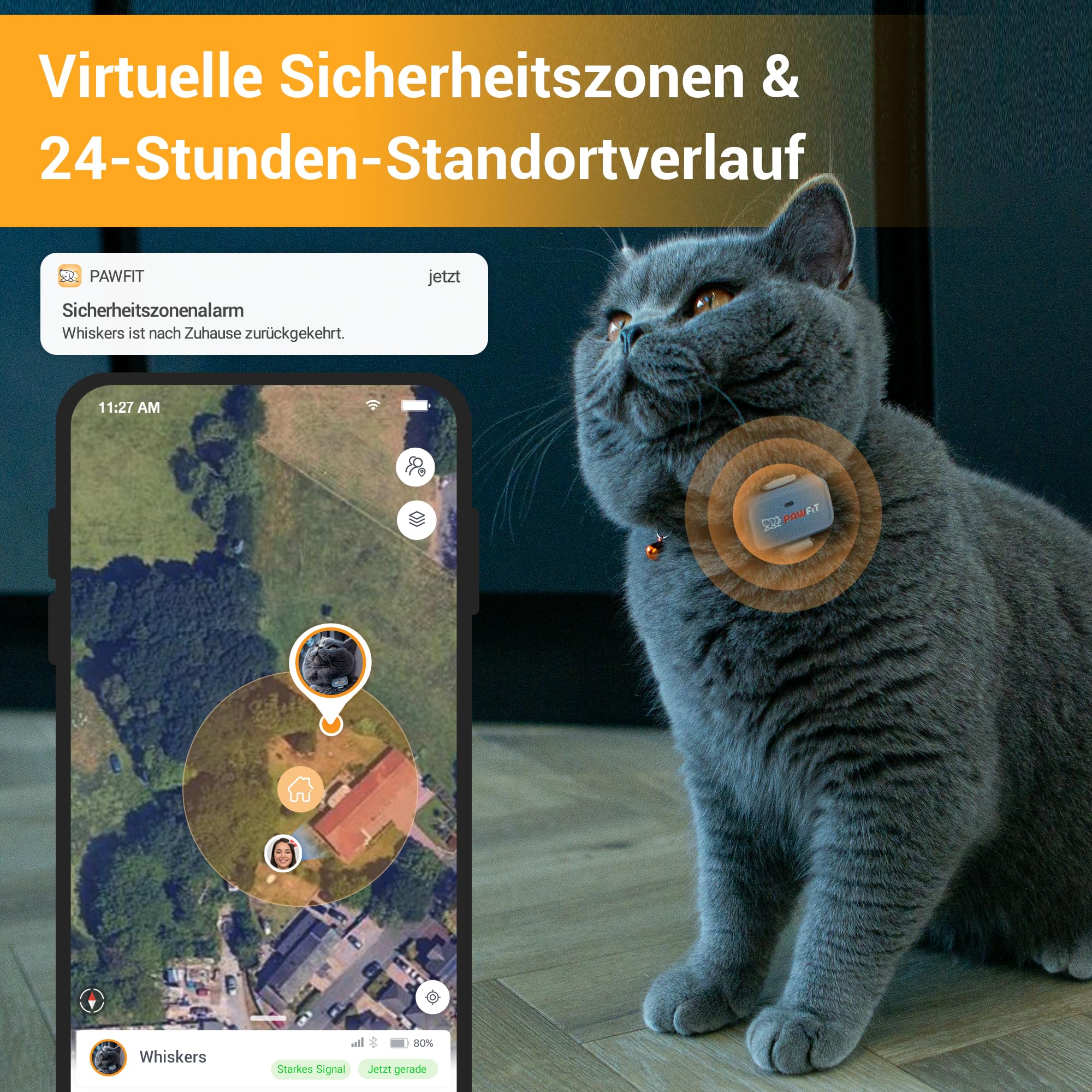 Pawfit Lite für Katzen 4G GPS Tracker | Echtzeit-Ortung | Aktivitätsüberwachung | Standortverlauf | Unbegrenzte Reichweite | Sicherheitshalsband inklusive | Kohlegrau