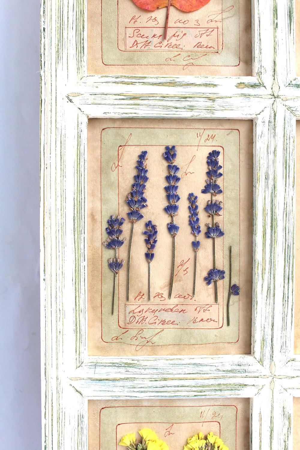 Dried Flower Framed Art for Farmhouse Decor: Kitchen Wall Hanging - Vintage Pressed Flower Frame of Dining Room Art, 22x16.6 in