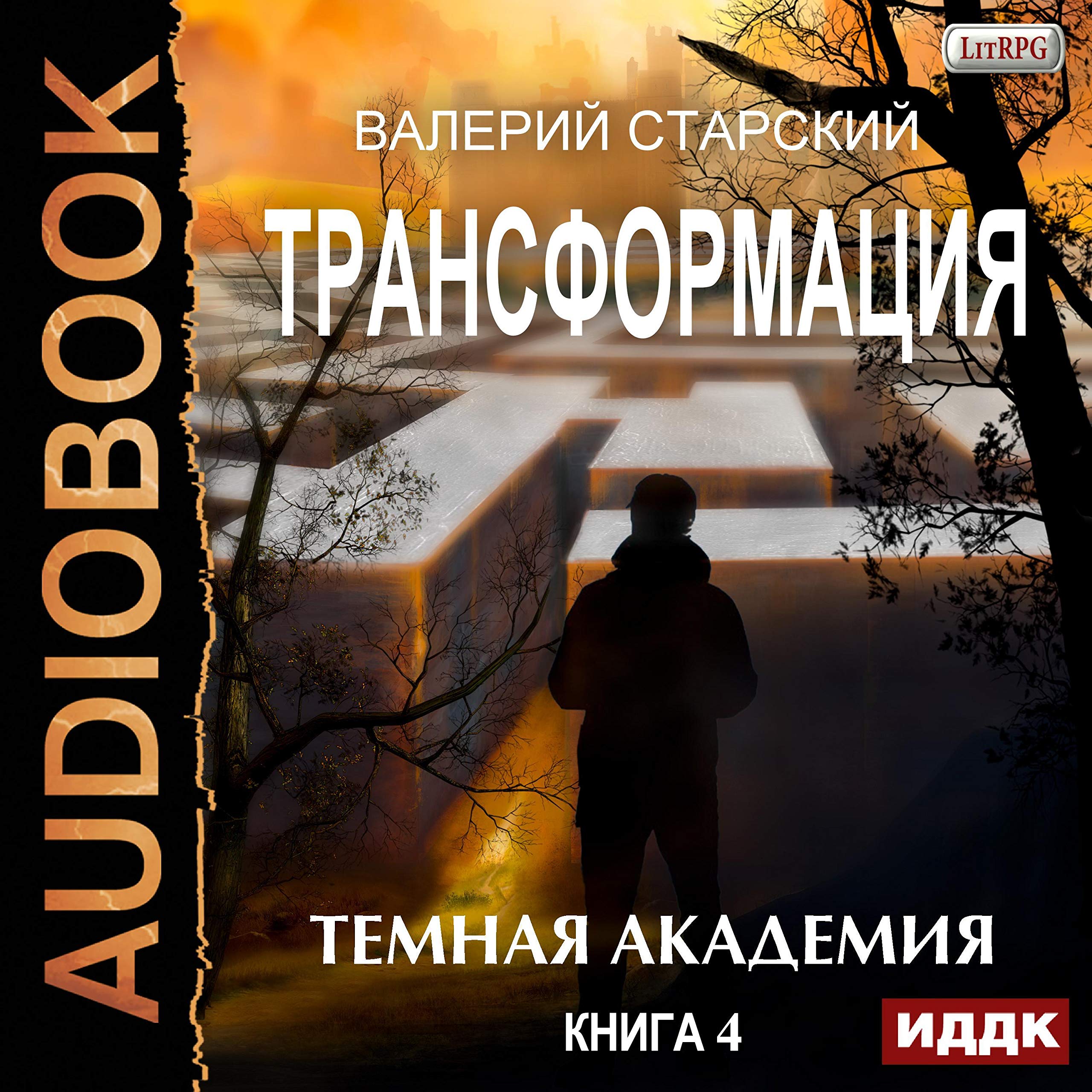 Cover art for Темная академия [Dark Academy]
