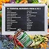 Nutrabytes Vegan A-Z Multivitamin & Mineral Complex, 360 Capsules | 26 Essential Vitamins & Minerals Plant Based Supplement with Turmeric, Iron, Folic Acid and Zinc | 6 Months | UK Made
