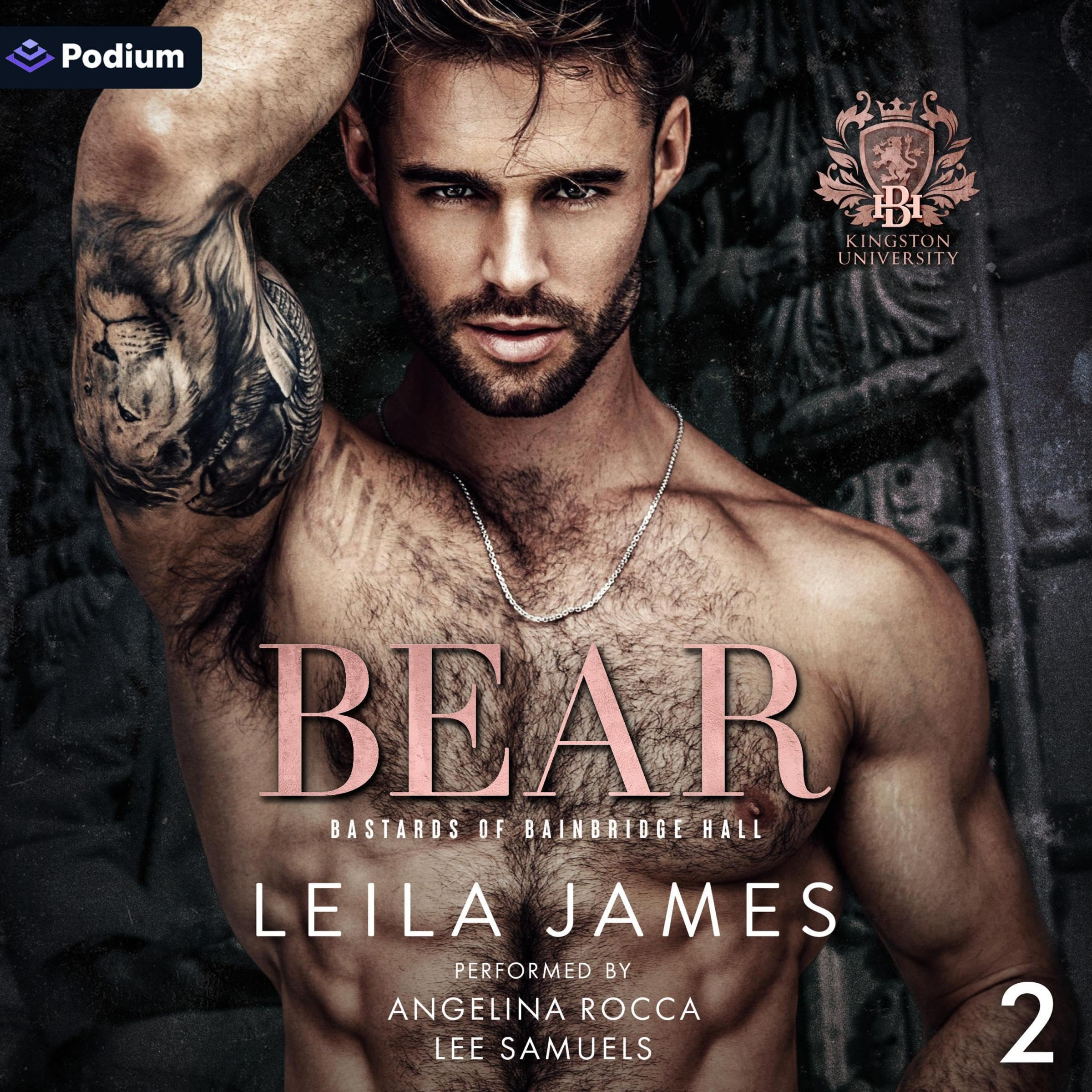 Cover art for Bear