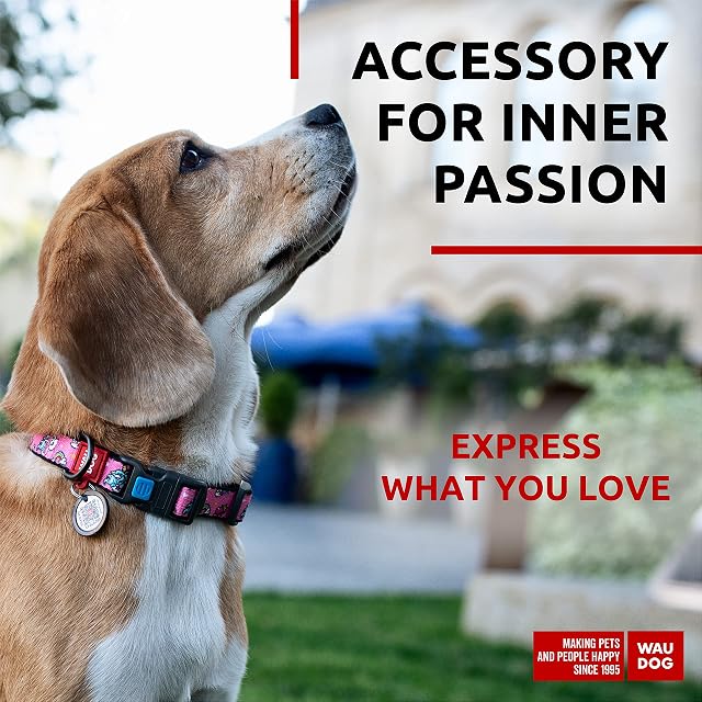 Foto 2 de 6 de Collar de perro ajustable para perros pequeños