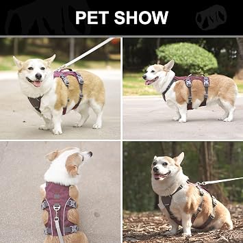 Escape Proof Dog Harness, Full Body Vest with Handle, Maroon S