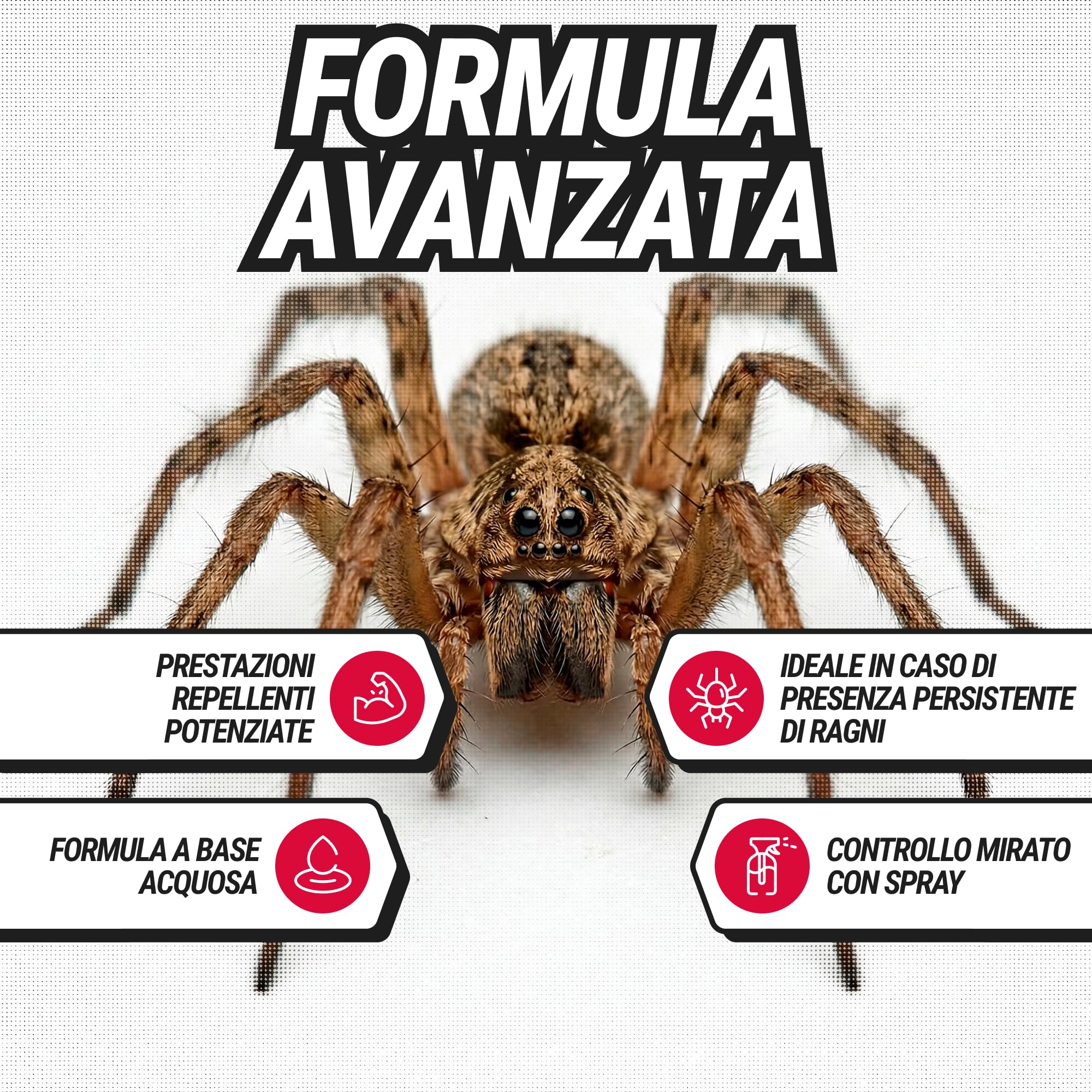 RepellShield Spray Repellente Ragni – Formula Avanzata con Oli Essenziali – Spray Ambientale per Casa, Cucce e Aree Interne Esterni –Non Macchia – Azione Rapida e Facile da Usare, 500ml