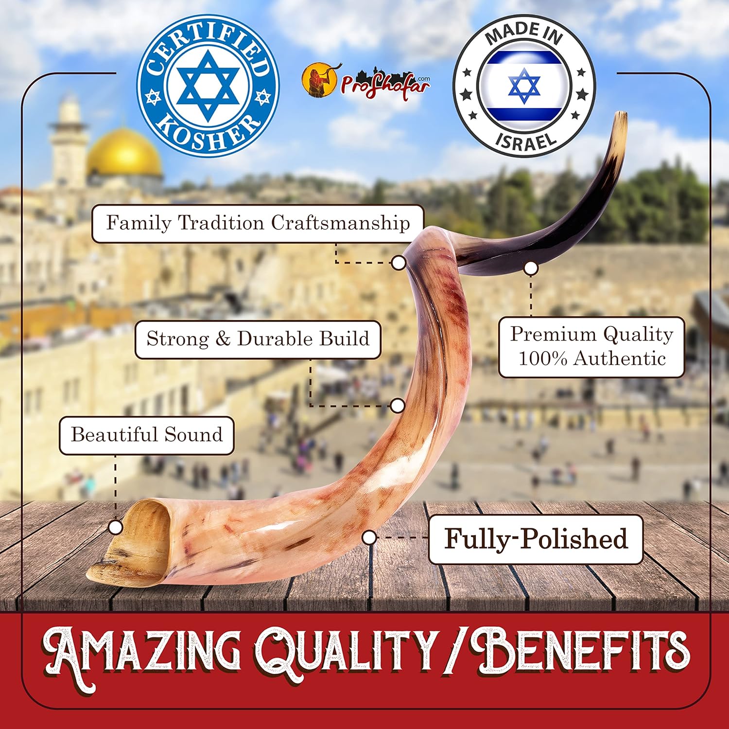Buy Fully Polished Kosher Shofar Set from Israel, Kudu Shofar Horn