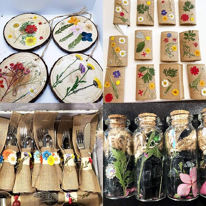 100 piezas de flores secas prensadas para manualidades miniatura 4