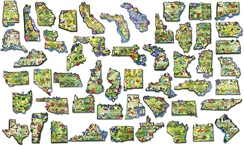Artwood U.S. State Magnet Set by Classic Magnets, 51-Piece Collection, Souvenirs and Gifts by Classic Magnets