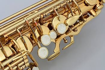 Amazon | Zeff アルトサックス E♭管 ゴールドラッカー 仕上げ