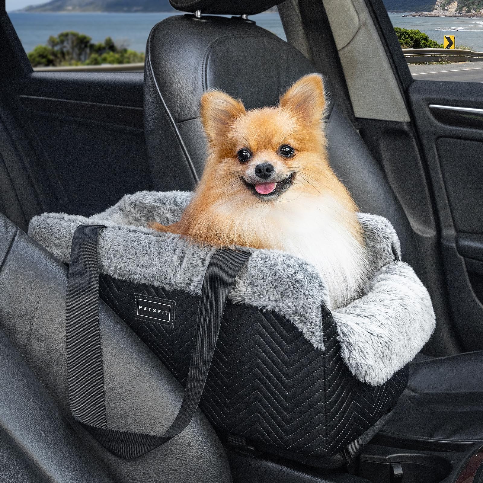 PETSFIT Hundesitz Mittelkonsole Auto, tragbarer Autositz Hund Mittelkonsole mit sicheren Schutzhaken, luxuriöser Hunde Autositz mit verbesserten Sicherheitsgurten für Kleine Hunde bis zu 5KG,Schwarz