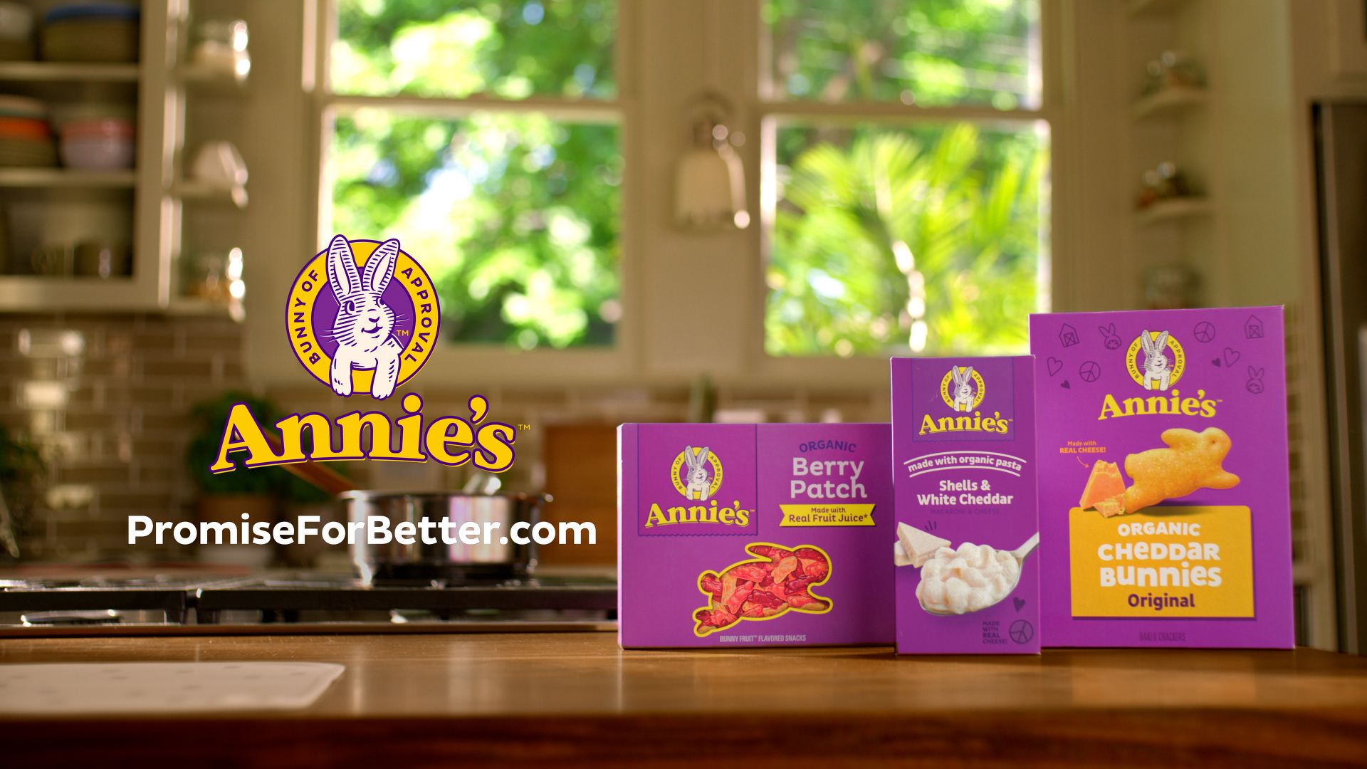 Amazon.com: Annie's Organic Chocolate Chip Cookie Bites, 10