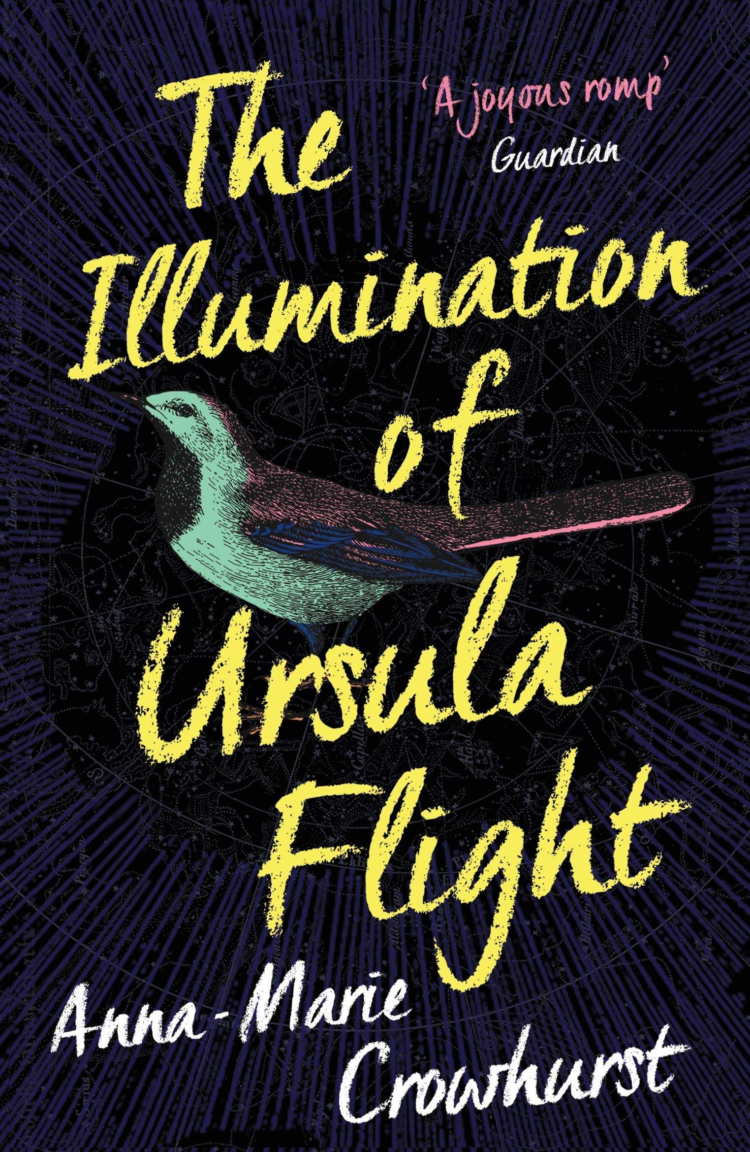 The Illumination of Ursula Flight by Anna-Marie Crowhurst PAPERBACK