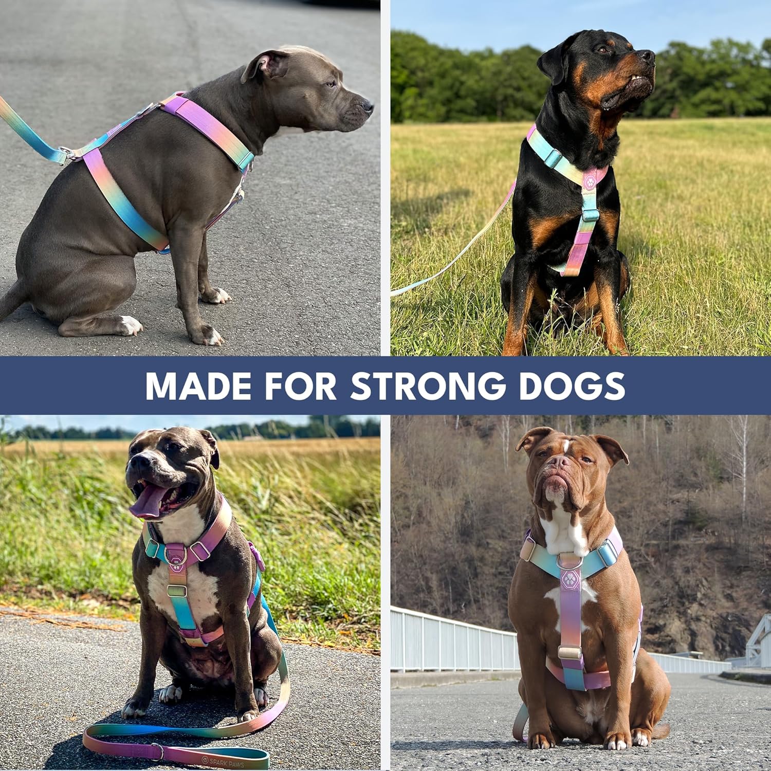 Spark Paws No Pull Dog Harness for Large Dogs, Heavy Duty Dog Harness for Big Strong Breeds, Adjustable, Y Shaped Padded Halter Design with Front Clip - Pastel Icing - L