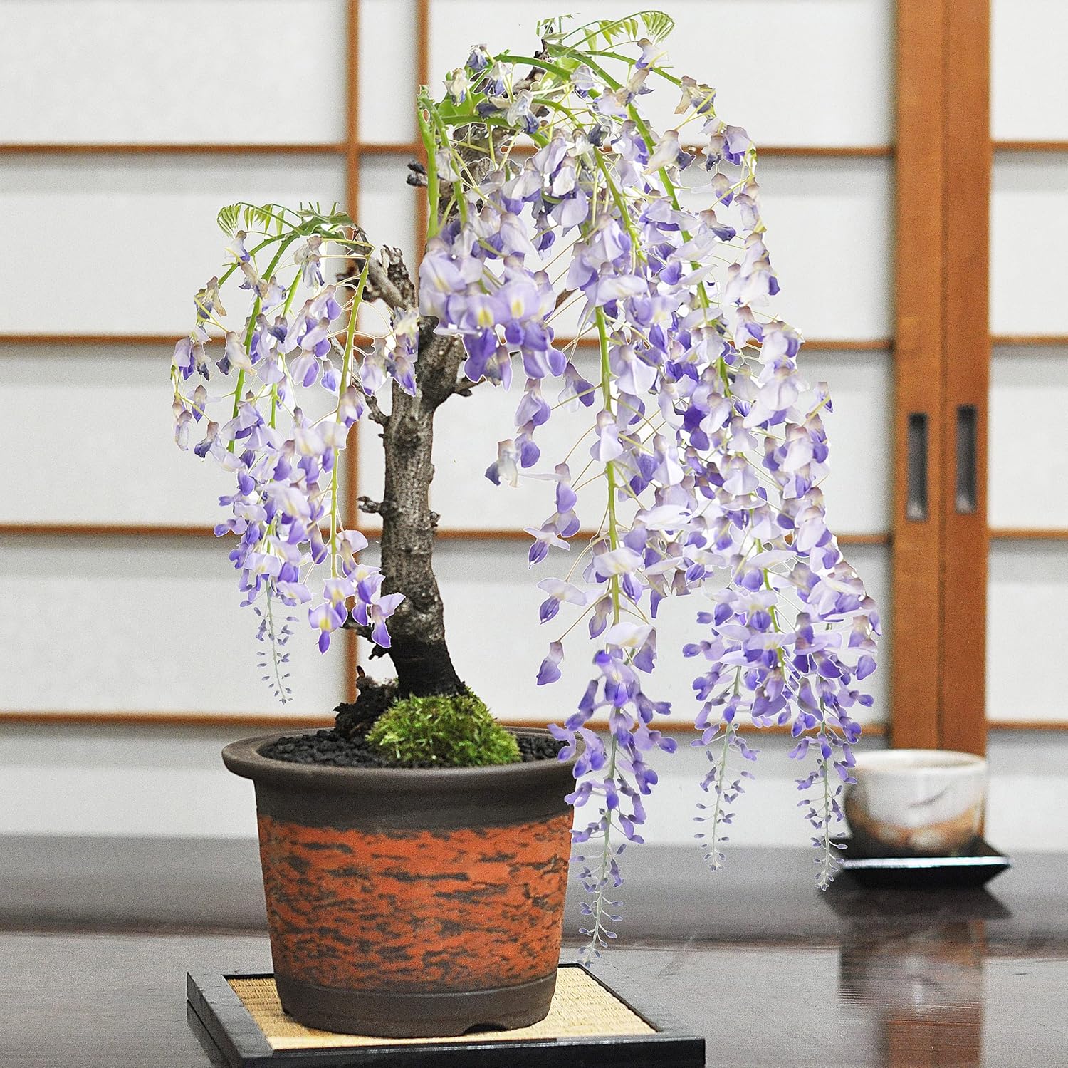 天然石 ソーダライト カービング 本読むクマちゃん No.979 天然石