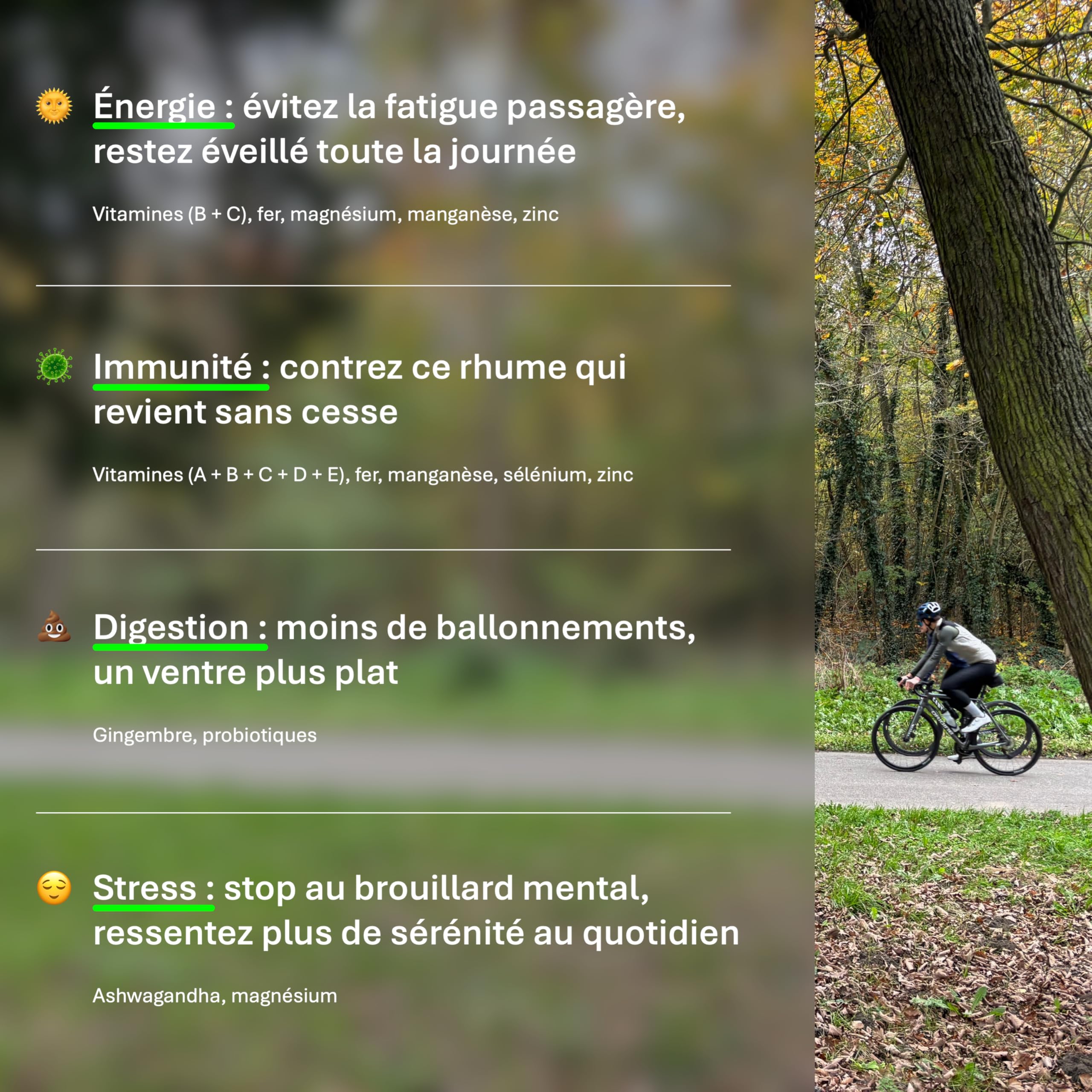 Complément alimentaire tout-en-un - Multivitamines, minéraux & probiotiques - Énergie, immunité, digestion & équilibre quotidien