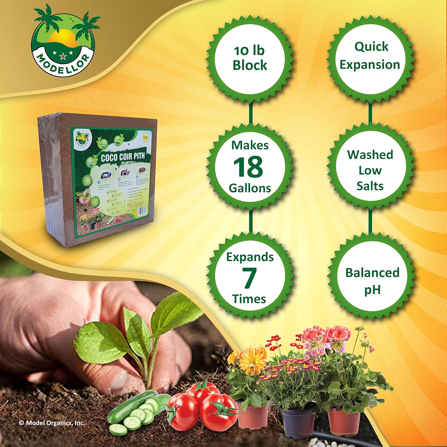 MODELLOR (10 lb) Premium Super Washed Coco Coir Brick, High Yield 18 to 20 gallons, Seed Starter, Organic, pH Balanced, Gardening, Indoor, Outdoor use