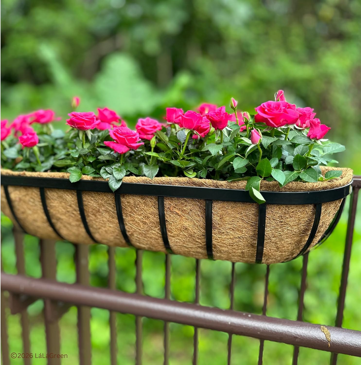 LaLaGreen 36" (2 Pack, Half Rounded Rectangular) Trough Coco Liners – Extra Large Coir Fiber Husk Replacement for Wall Mount or Hang Garden Pot, Outdoor Planter, Window Box – Available in Multi Sizes