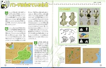 Amazon.co.jp: パンダもの知り大図鑑: 飼育からわかるパンダの