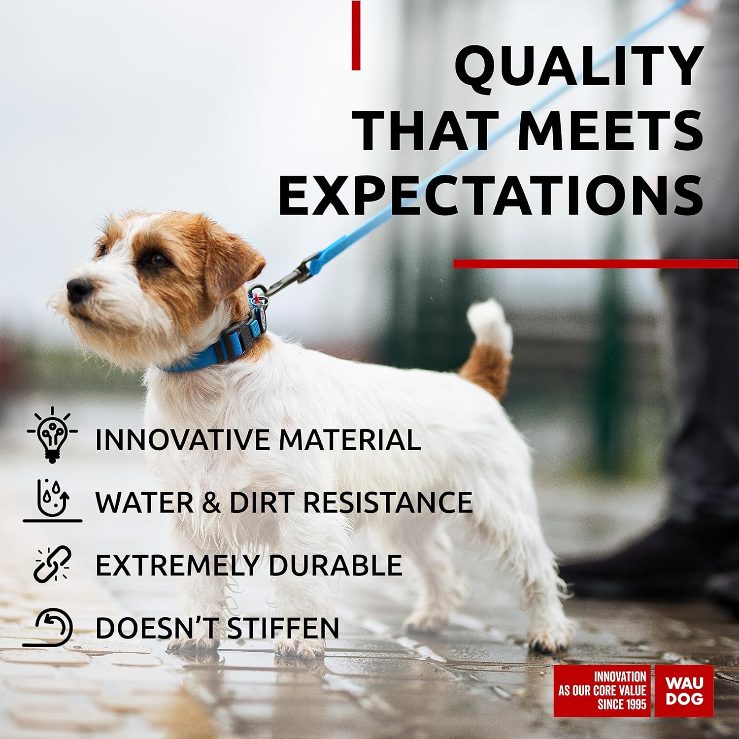 WAUDOG Waterproof Dog Collar - Adjustable Dog Collar with Air Holder and QR Dog Tag for Large Dogs, Small and Medium Dogs