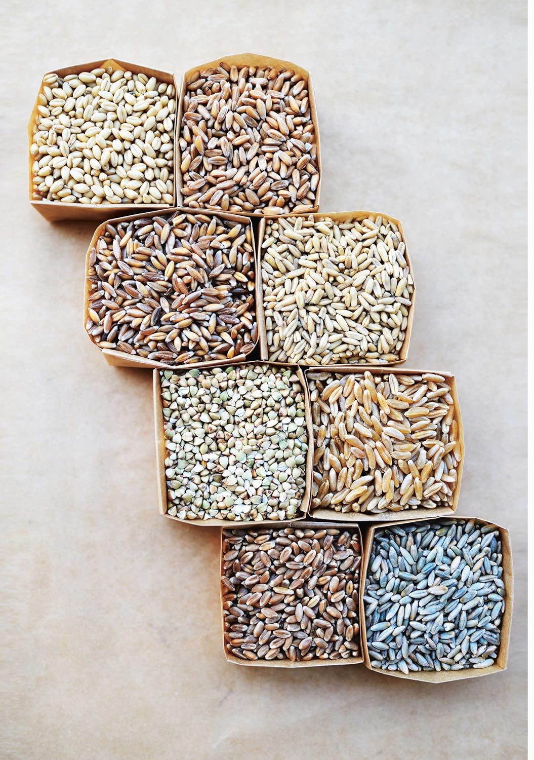 Tartine No. 3: Ancient Modern Classic Whole - Image 4