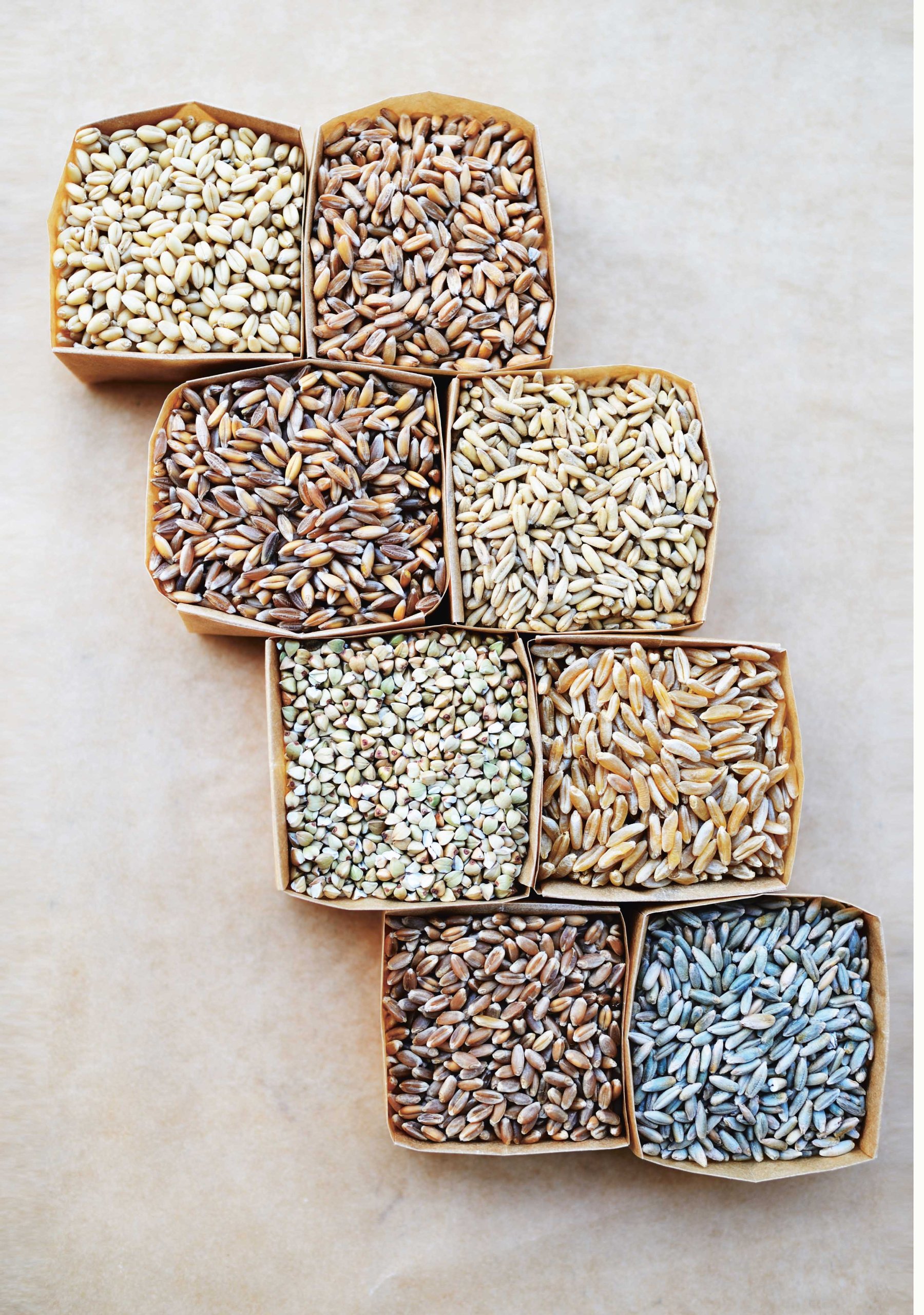 Tartine: Modern Ancient Classic Whole (3)