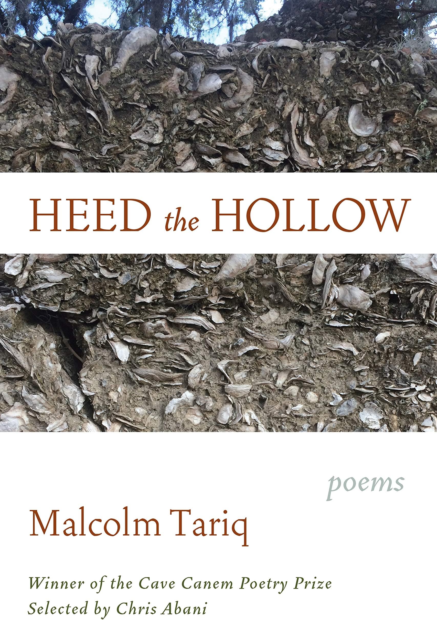 Heed the Hollow: Poems