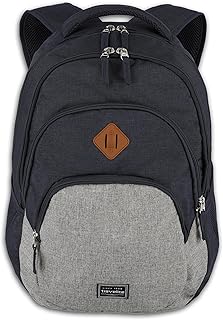Travelite Handgepäck Rucksack, Laptop Rucksack 15,6 Zoll, BASICS, Daypack, Tagesrucksack mit vielen Fächern, 45 cm, 22 Liter