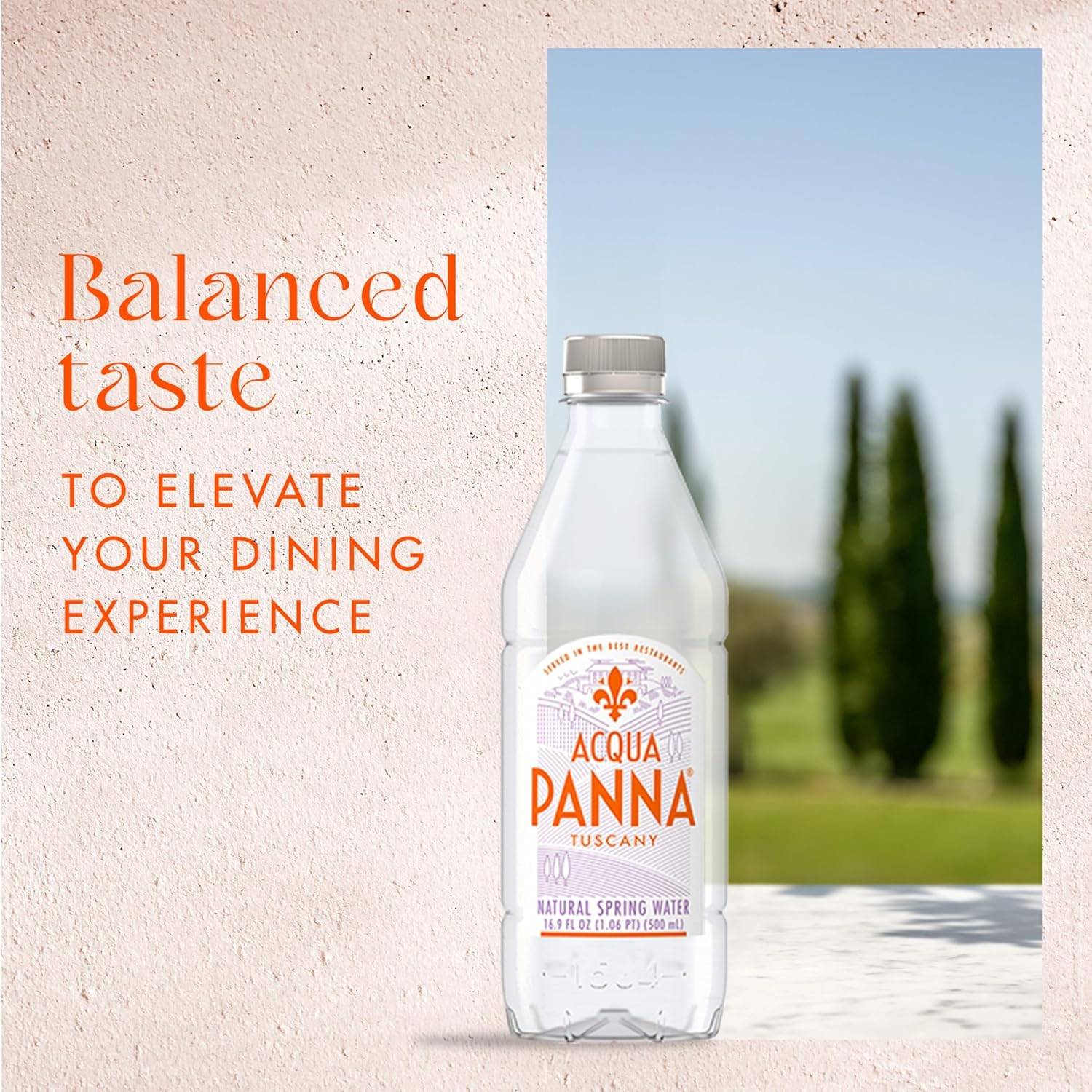 Acqua Panna Natural Spring Water, 16.9 Fl Oz (Pack of 15) Plastic Water Bottles