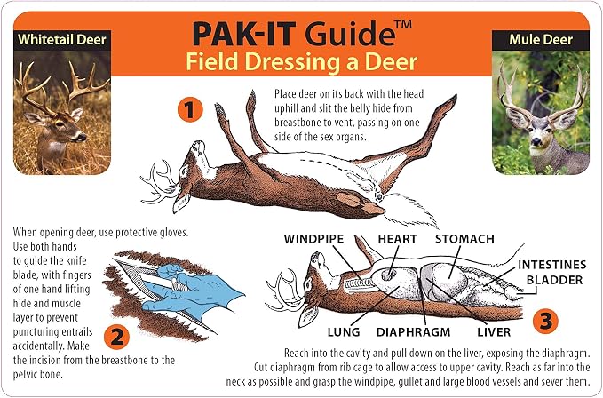 Amazon.com : Ident-I-Cards PAK-IT Guide to Field Dressing a Deer ...