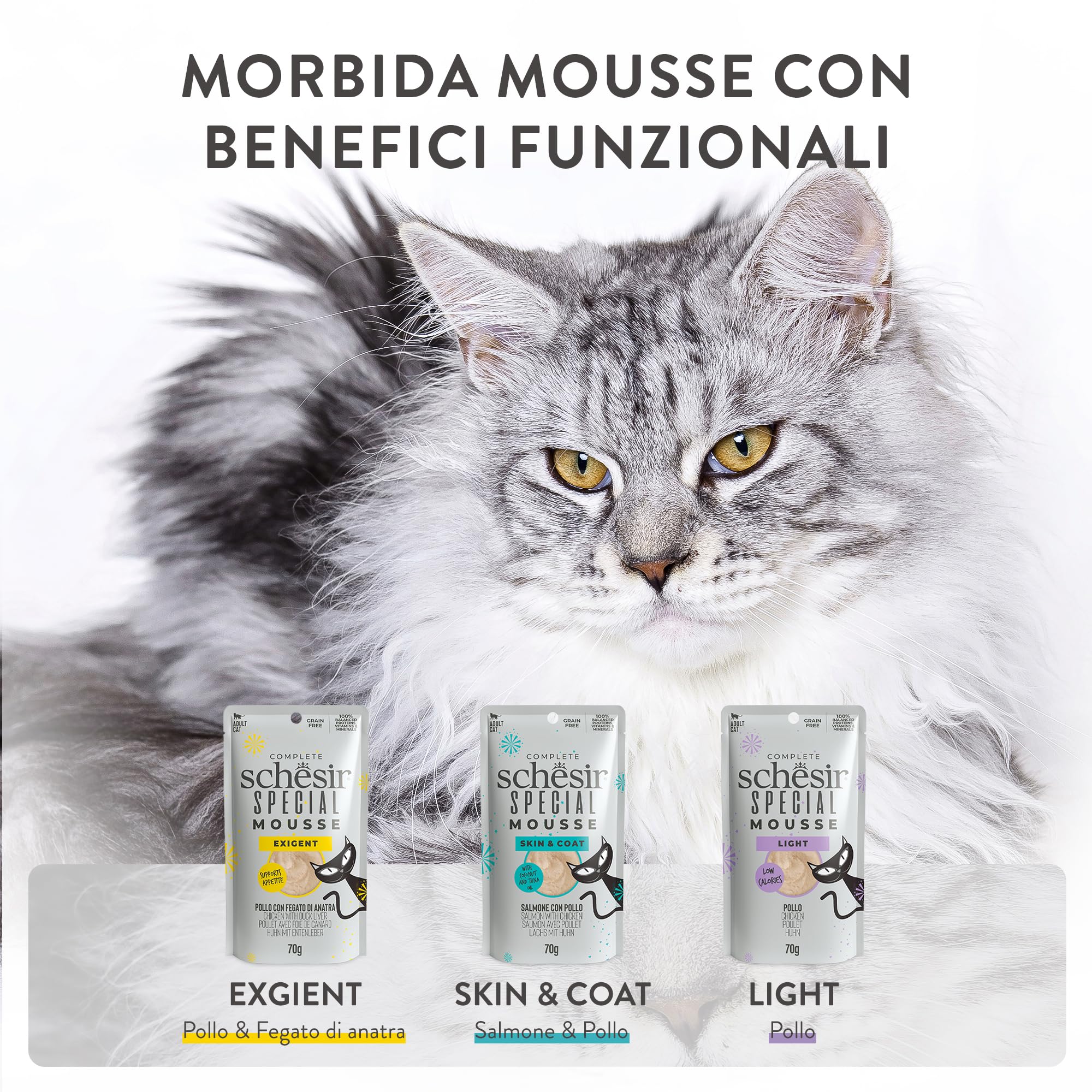 Schesir Special Exigent, Alimentation complète pour Chats exigeants (Poitrine 12 x 70 g)