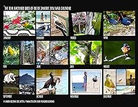 Vista 7 de 2018 Wall Calendar (The Real Backyard Birds of Rio de Janeiro)