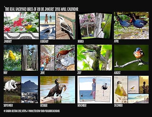 Miniatura 7 de 2018 Wall Calendar (The Real Backyard Birds of Rio de Janeiro)