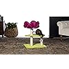 Product Photo 7