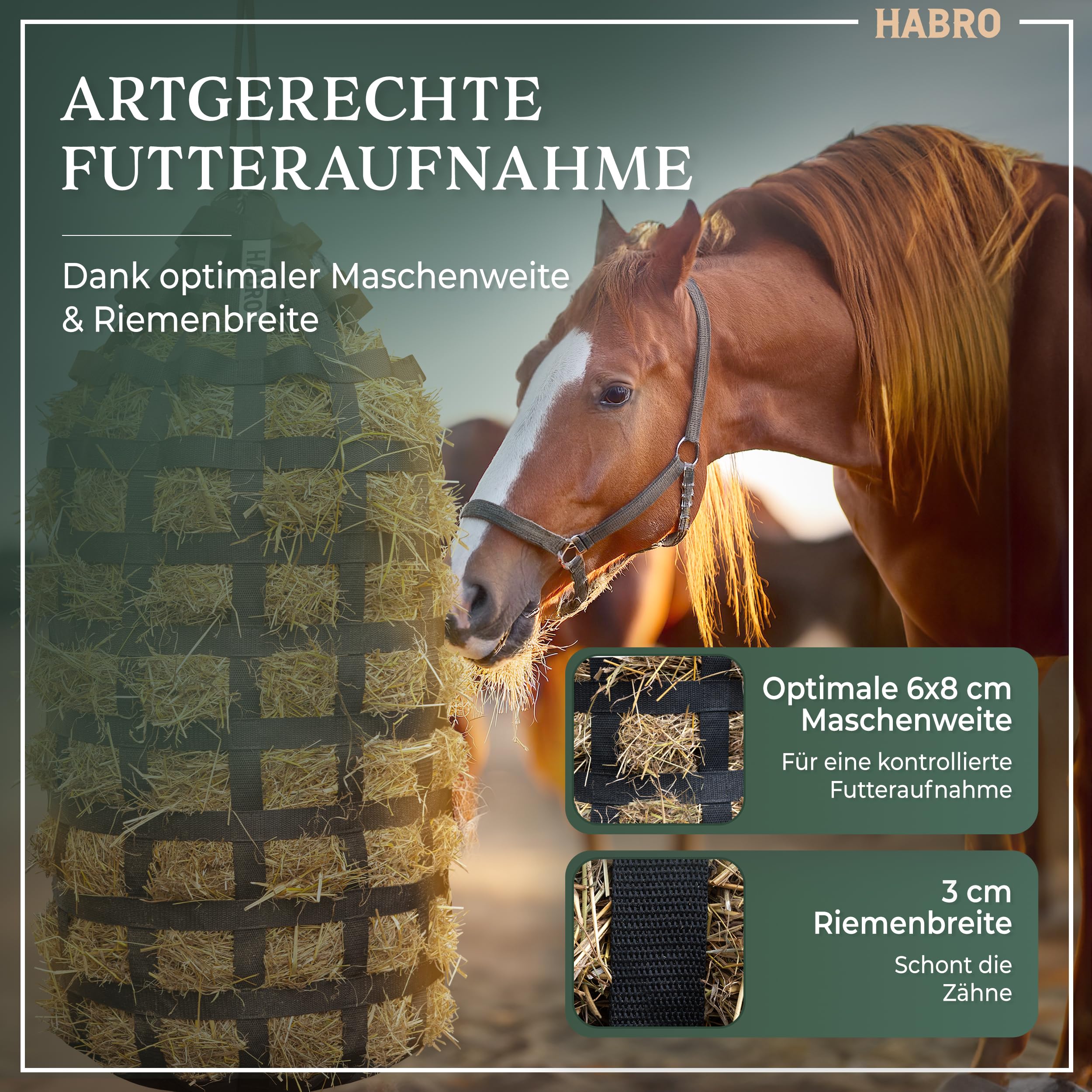 HaBro Heunetz für Pferde engmaschig 6 kg Heu Premium XXL Heutasche robust langlebig