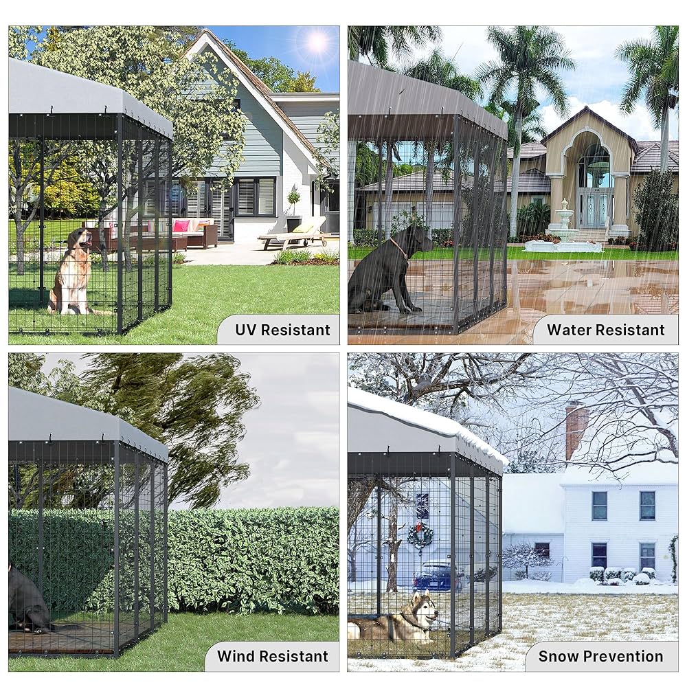 Serika With Dog – Caution Beware of Dog Signs Warning Dogs Sign Red and White Vinyl