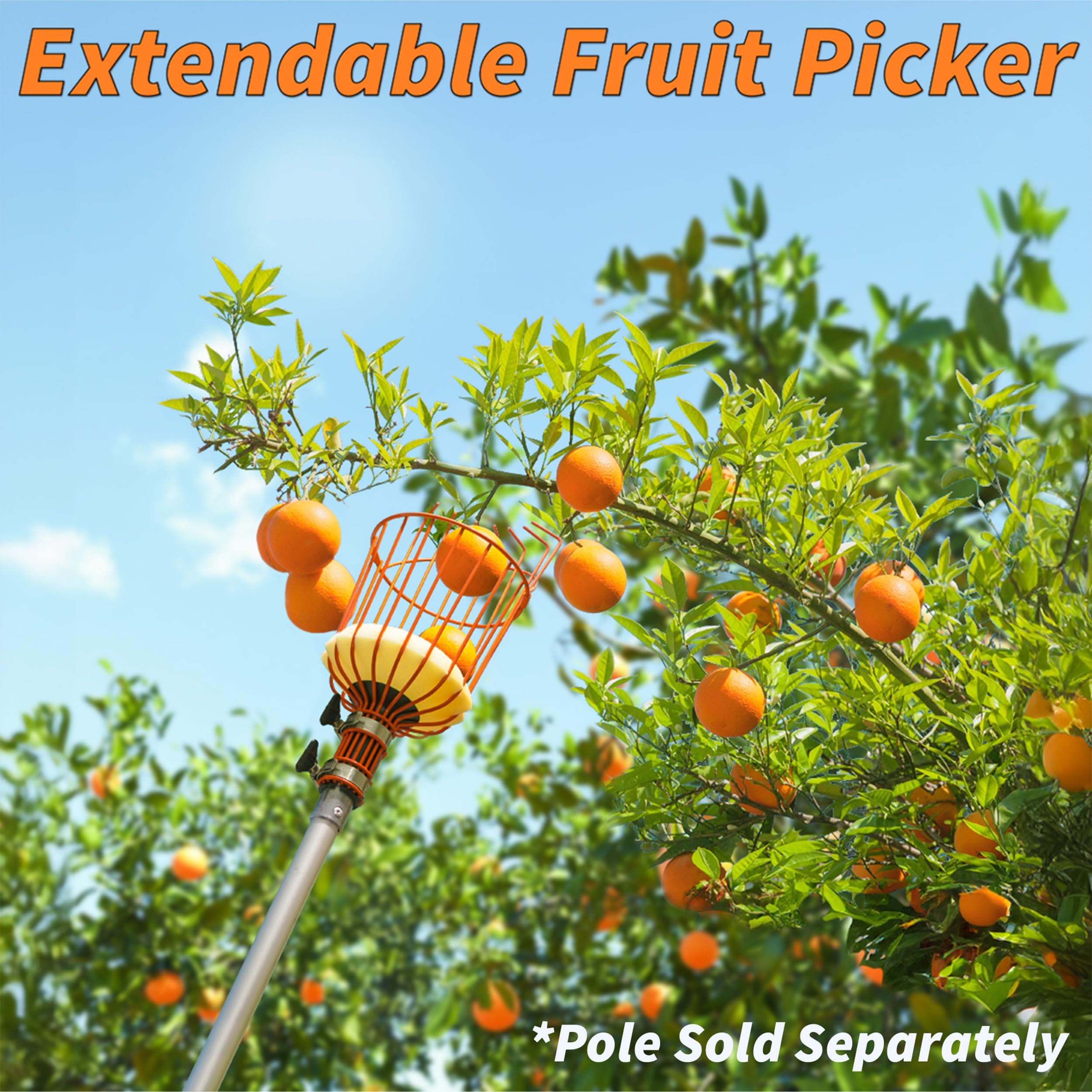 Extend-A-Reach Solo Cesta recolectora de Frutas // La Cesta recolectora de Manzana giratoria Solo se Adapta a Poste de extensión estándar Acme // Herramienta de Recogida de árboles frutales para