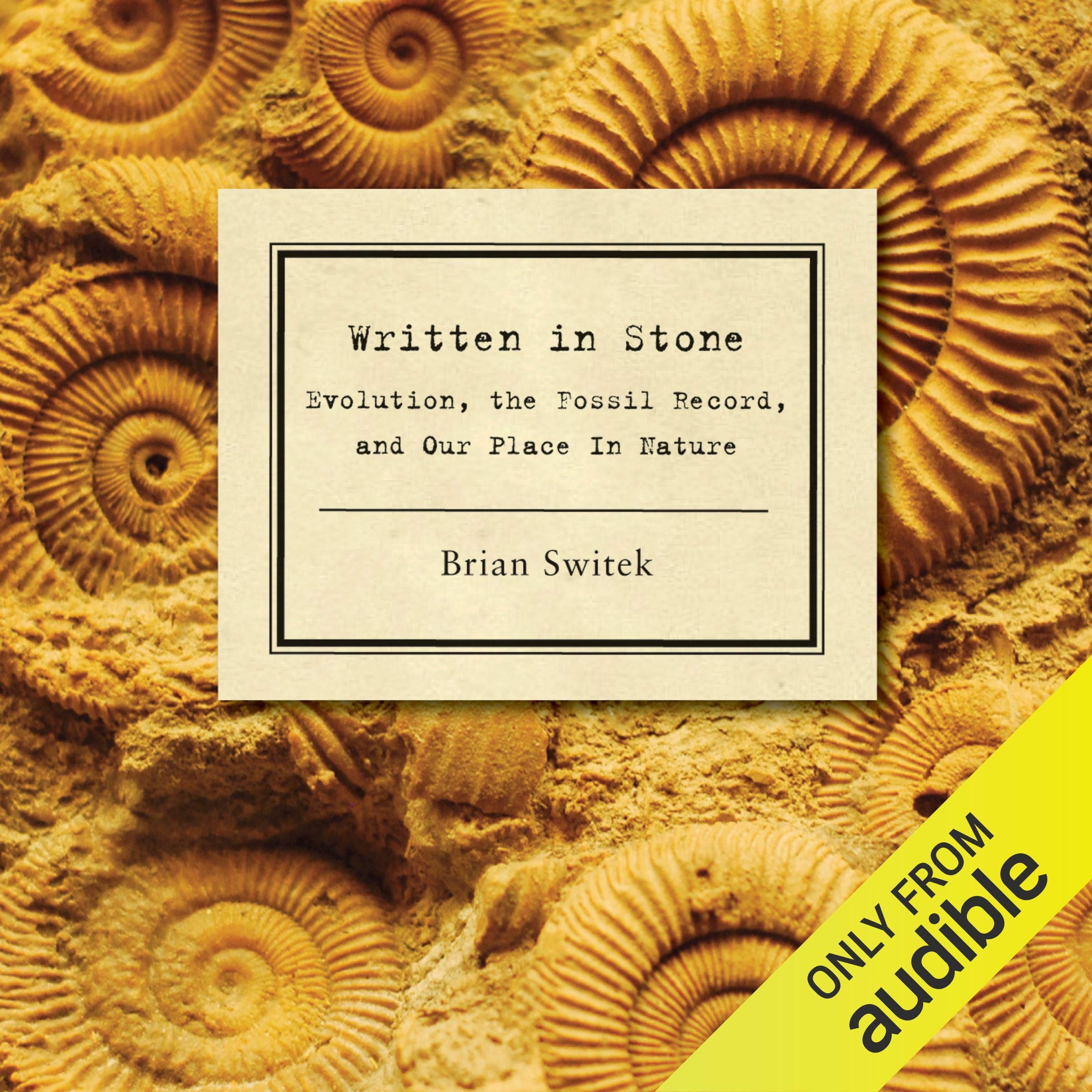Cover art for Written in Stone