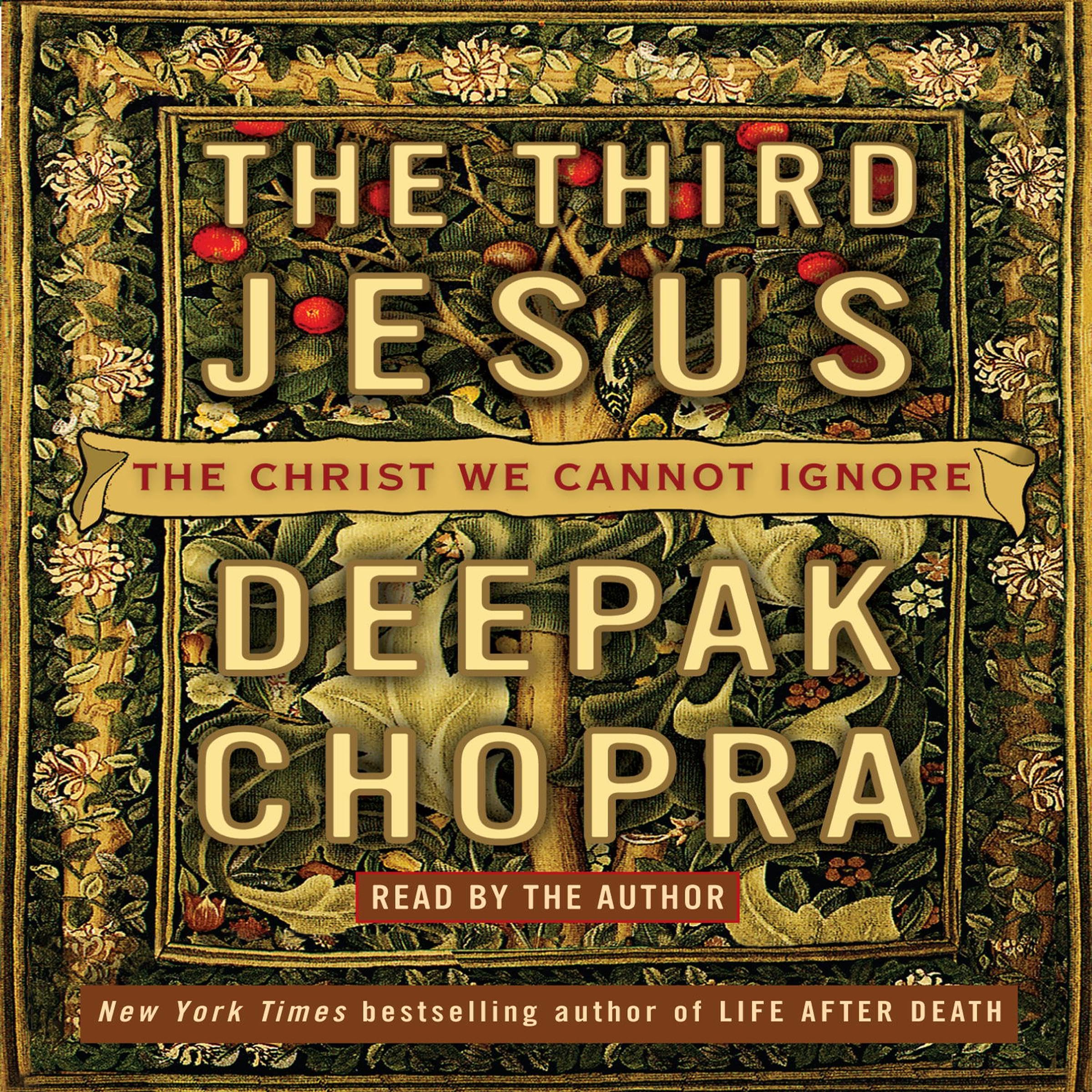 Cover art for The Third Jesus