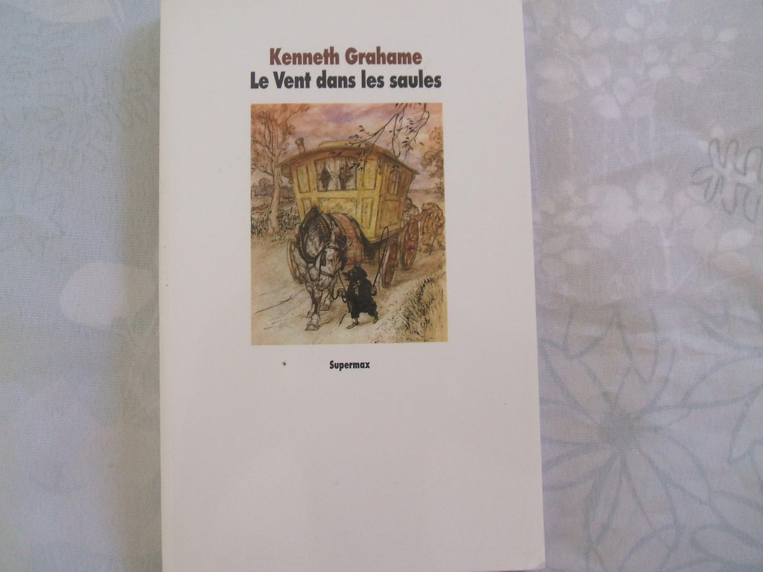 Amazon.fr - Le vent dans les saules - Grahame, Kenneth, Rackham, Arthur ...