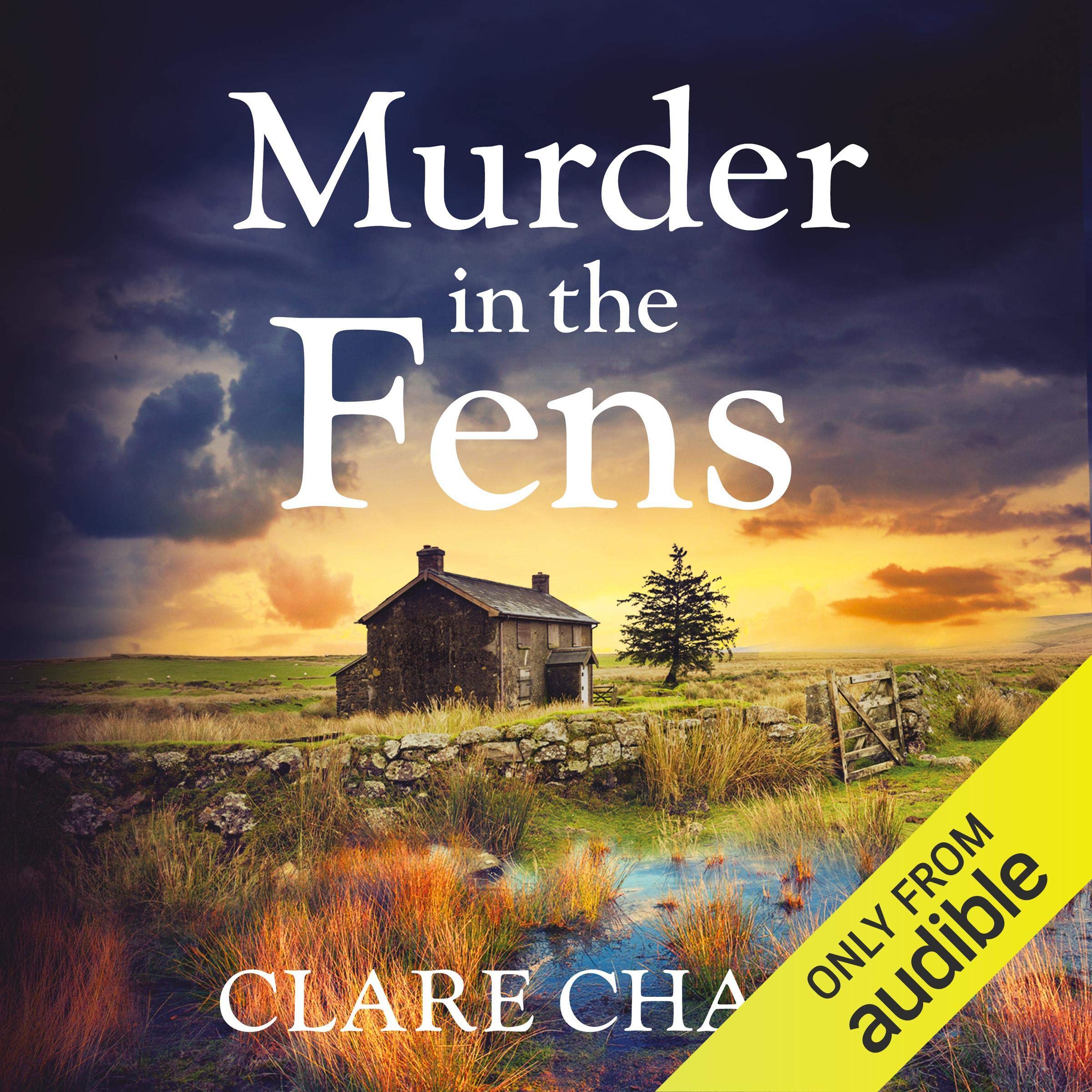 Cover art for Murder in the Fens