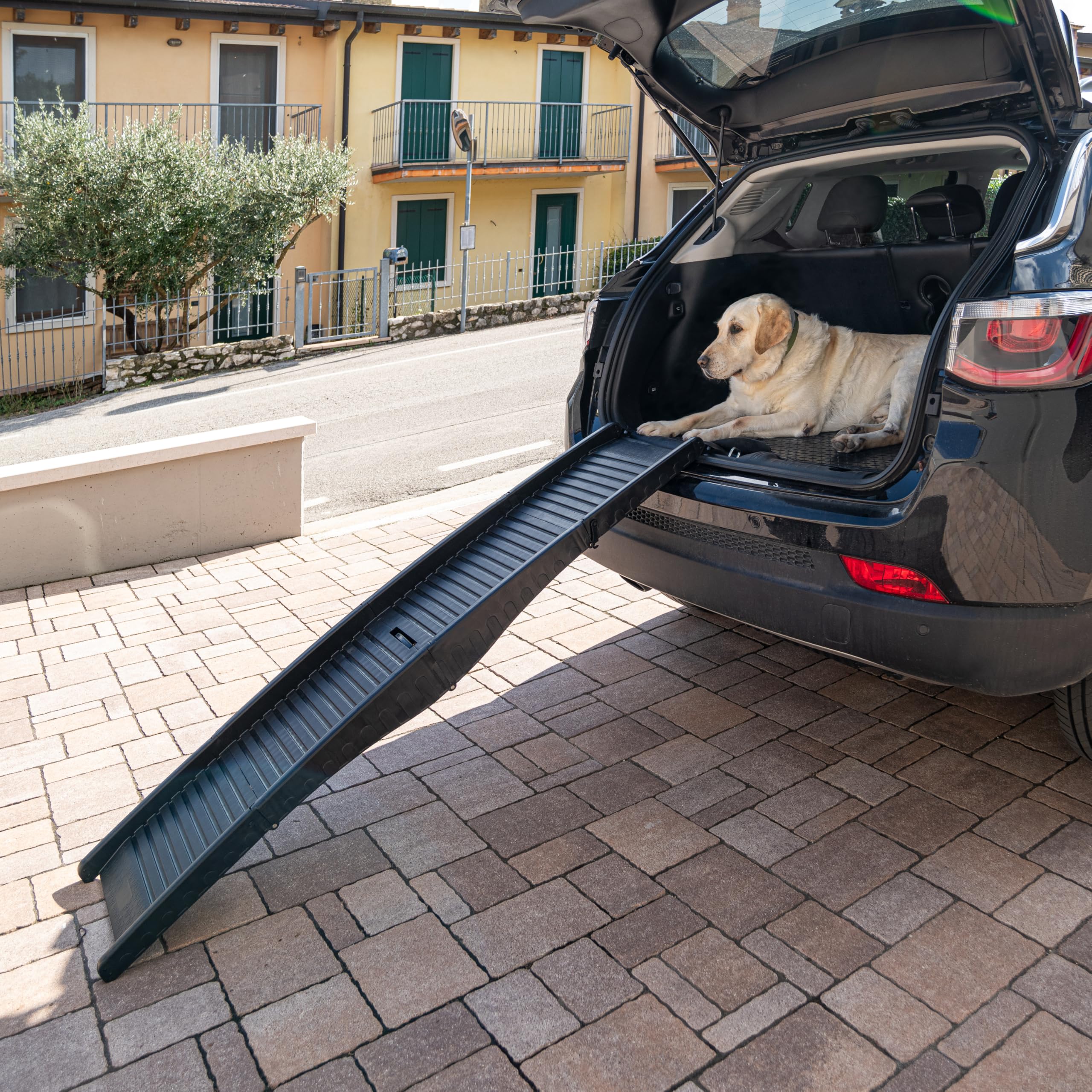 Ferplast Rampe pour Chien Voiture, Pliable, Antidérapante, Poignée, Réfléchissante, jusqu'à 50 kg, L 152 x P 40 cm