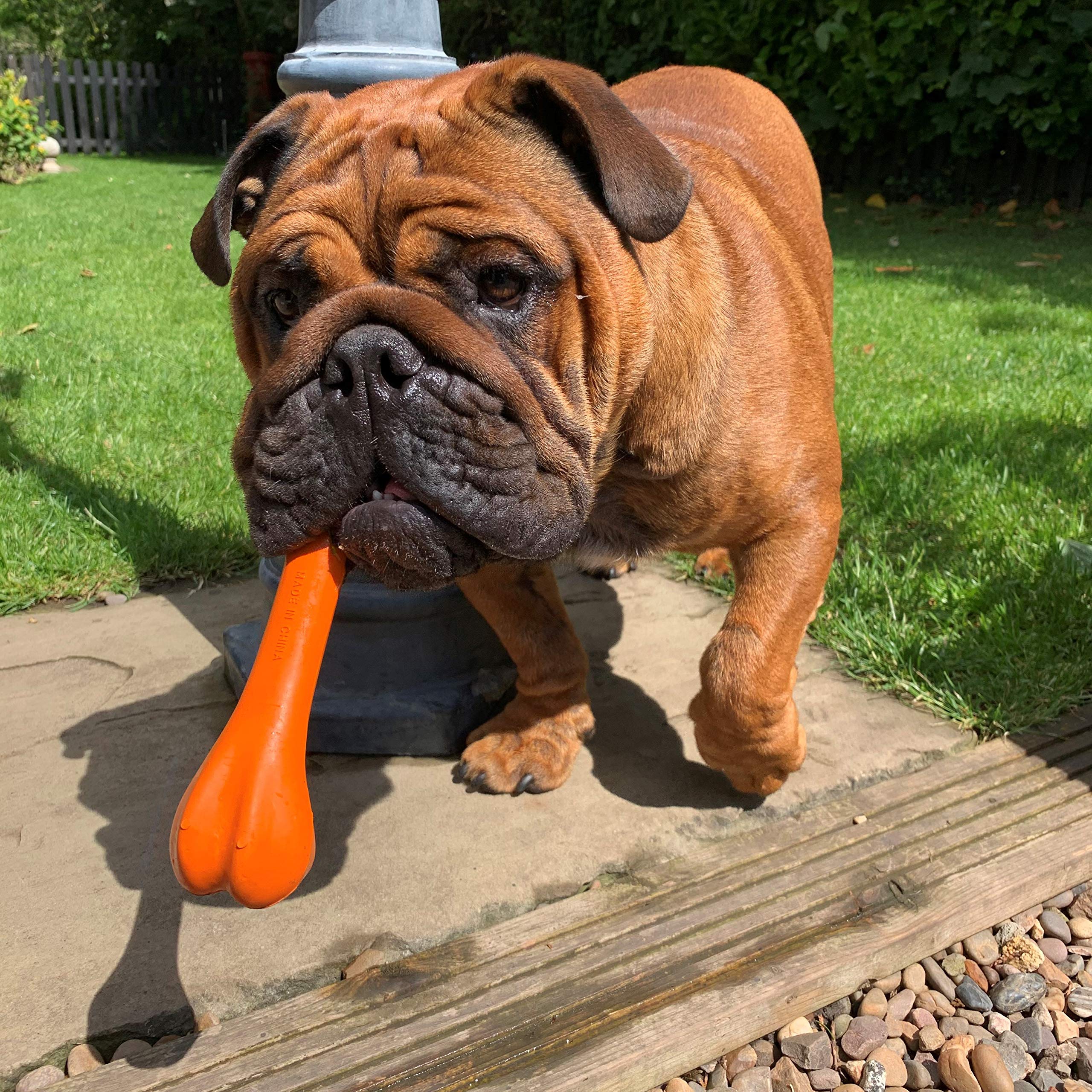 Petface Seriously Strong Solid Rubber Bone Dog Toy, Tough & Durable, 20 cm, orange - Image 2