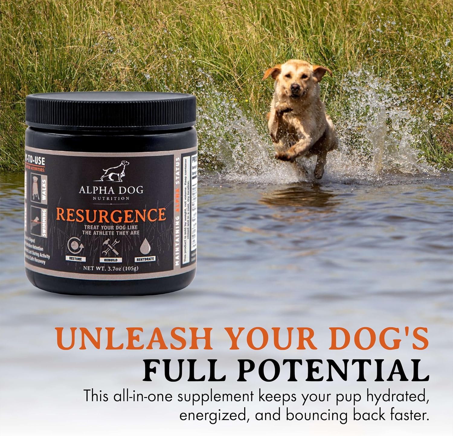 Active K9 Bundle: Free Range Joint Support + Resurgence Electrolytes