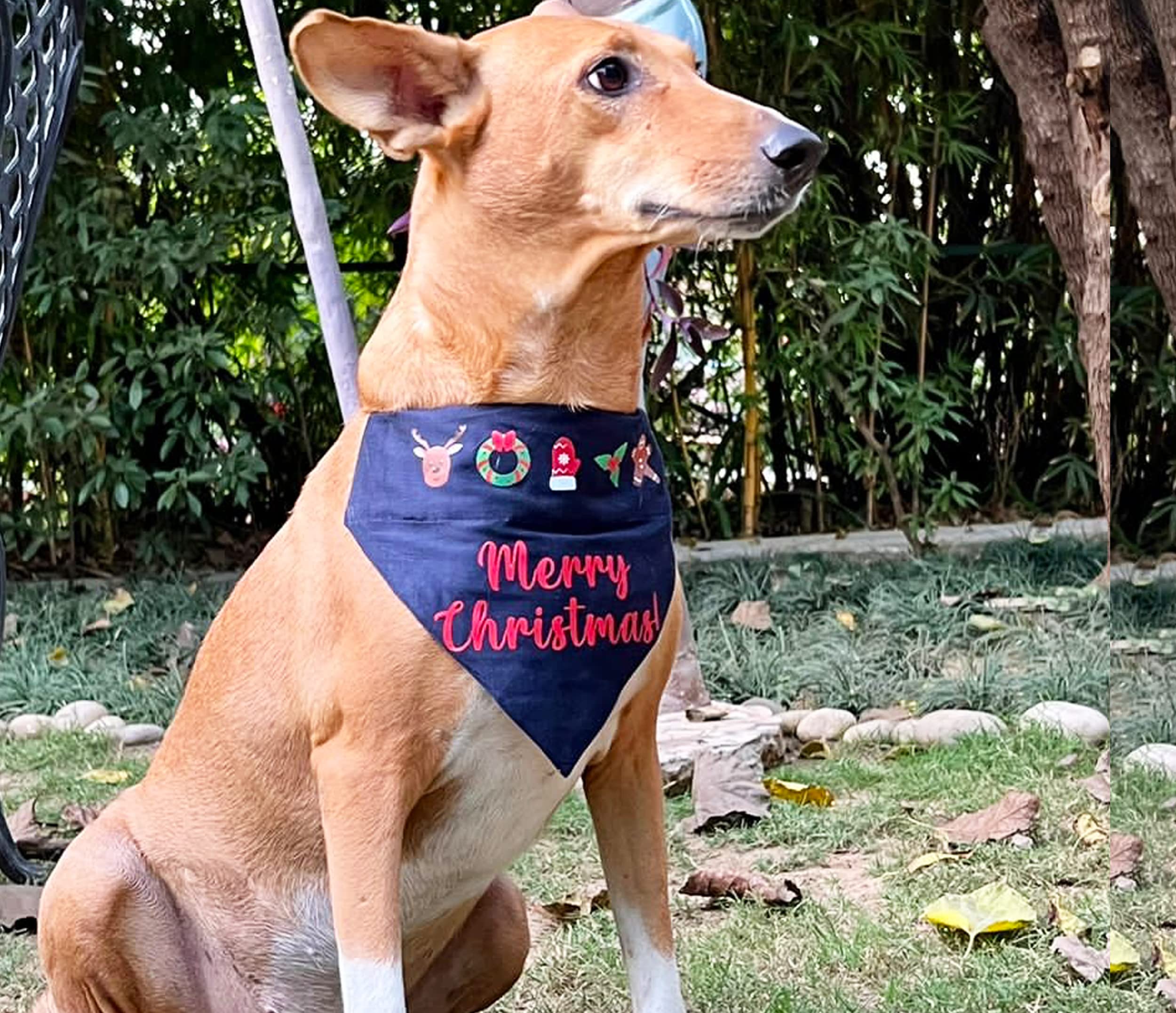 See full amazon price history chart for For The Fur Kids Merry Christmas Dog Bandana (Blue) For The Fur Kids Merry Christmas Dog Bandana (Blue) (B09N2V74L1) Amazon Price History, Amazon Price Tracker