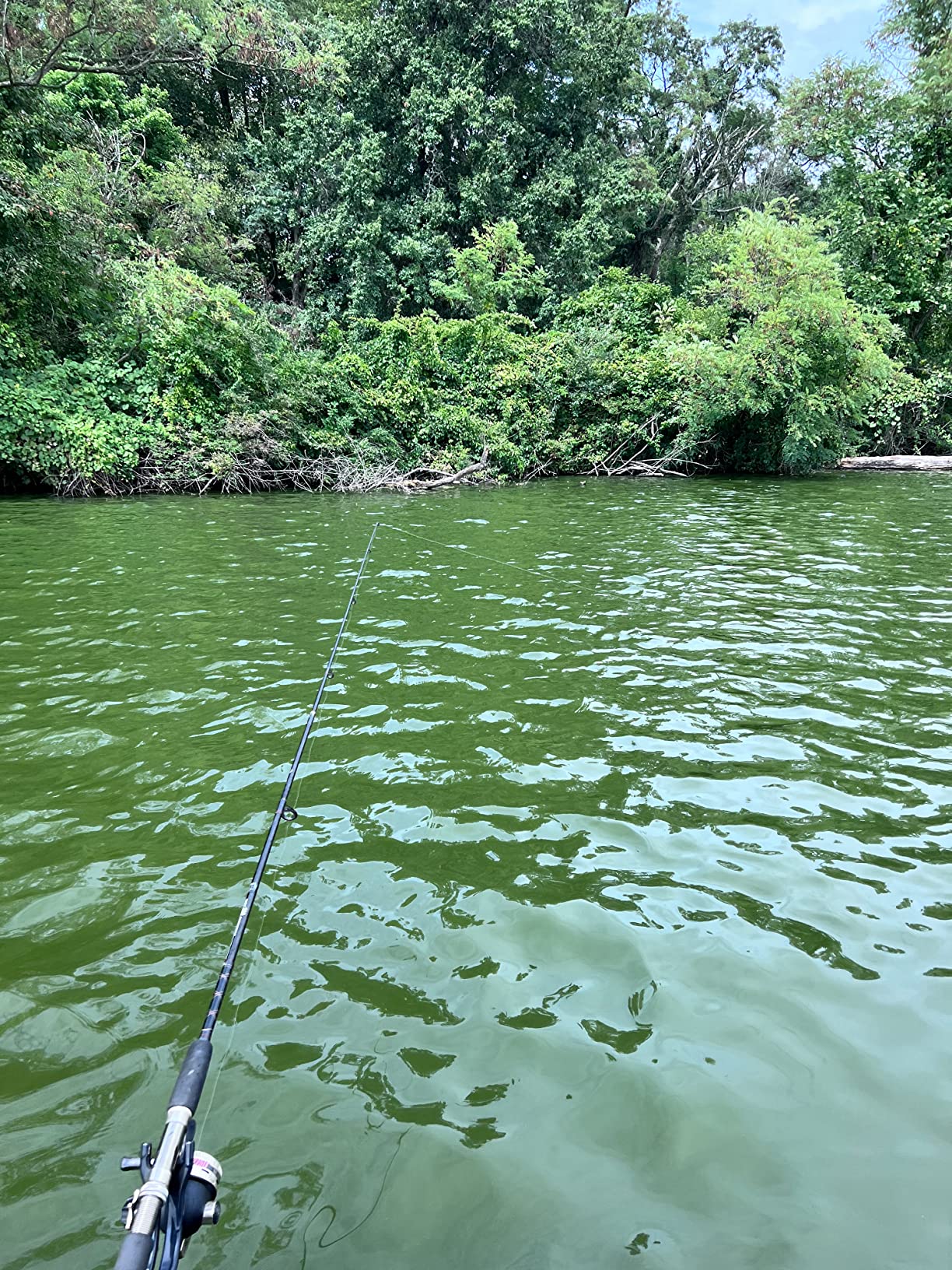 5/mo Finance XIALUO Marine Kayak Anchor Portable Folding Grapnel