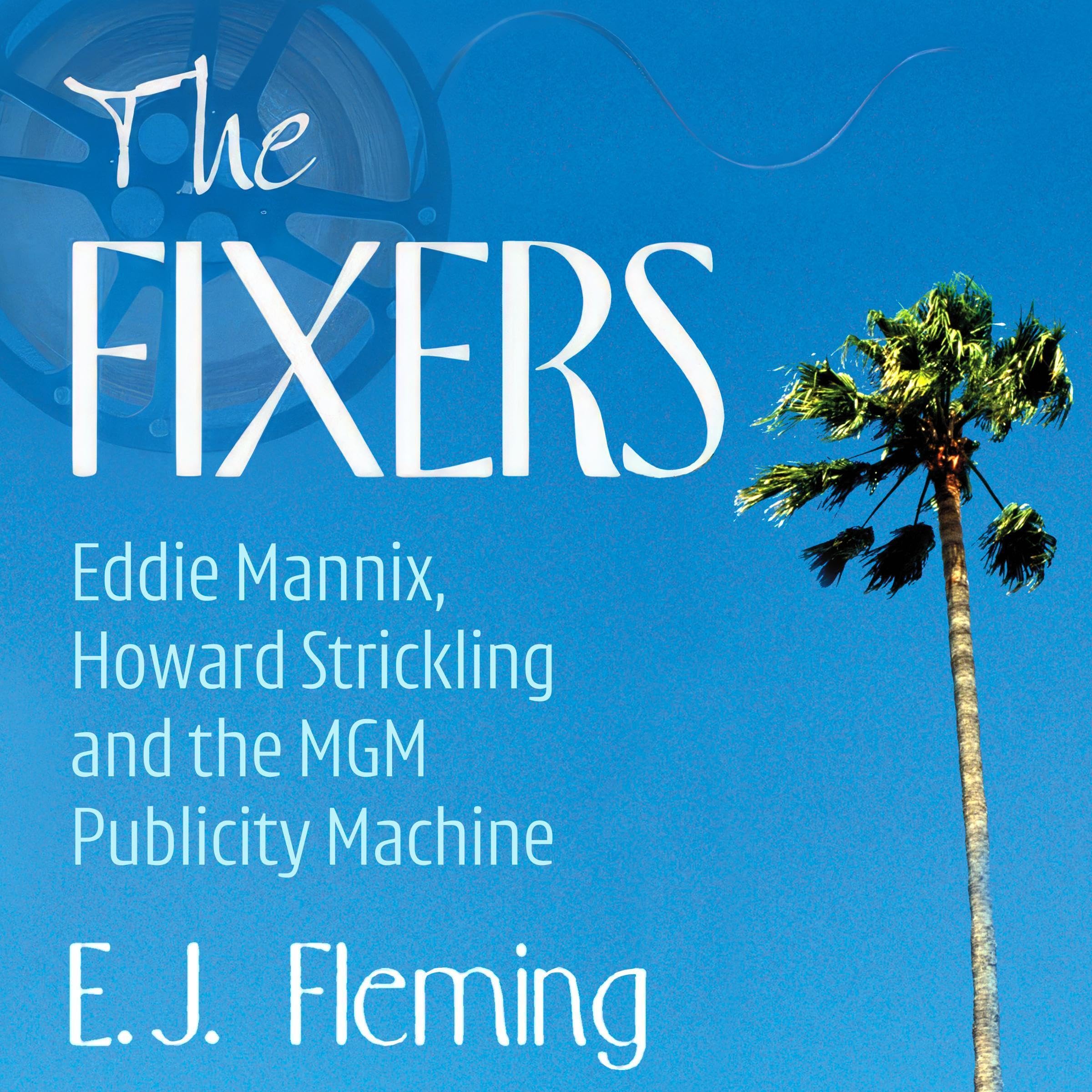Cover art for The Fixers