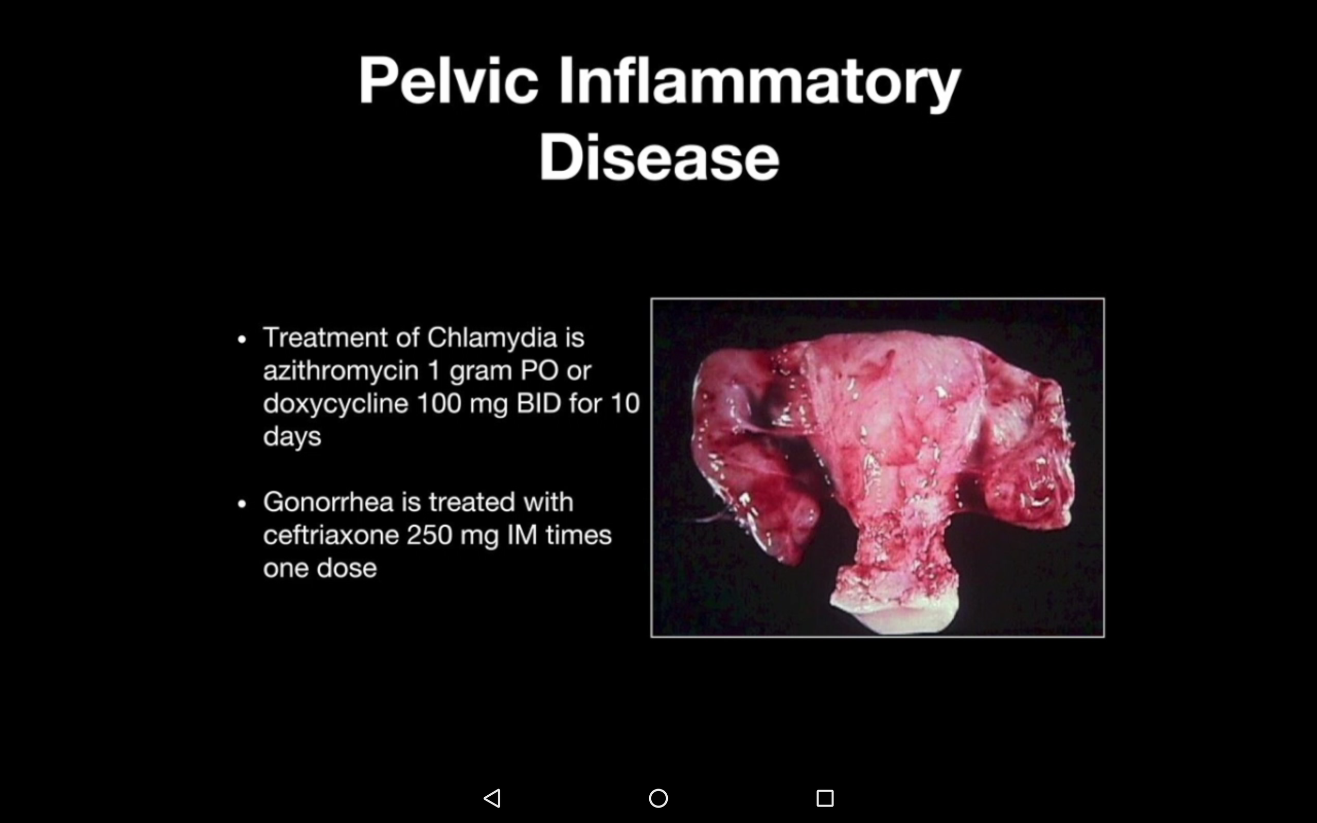 Womens Health End of Rotation (EOR) Blueprint Review CourseAmazon.caAppstore for Android