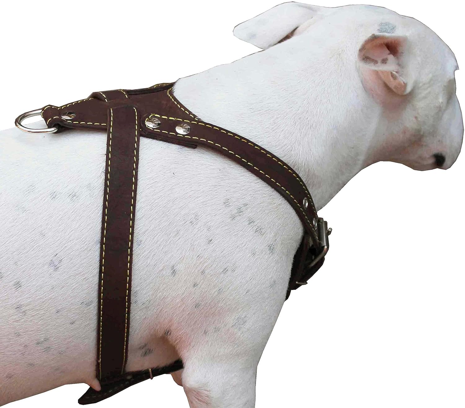 Brown Genuine Leather Dog Harness, Medium. 25.5"-29" Chest Size, 1" Wide Amstaff