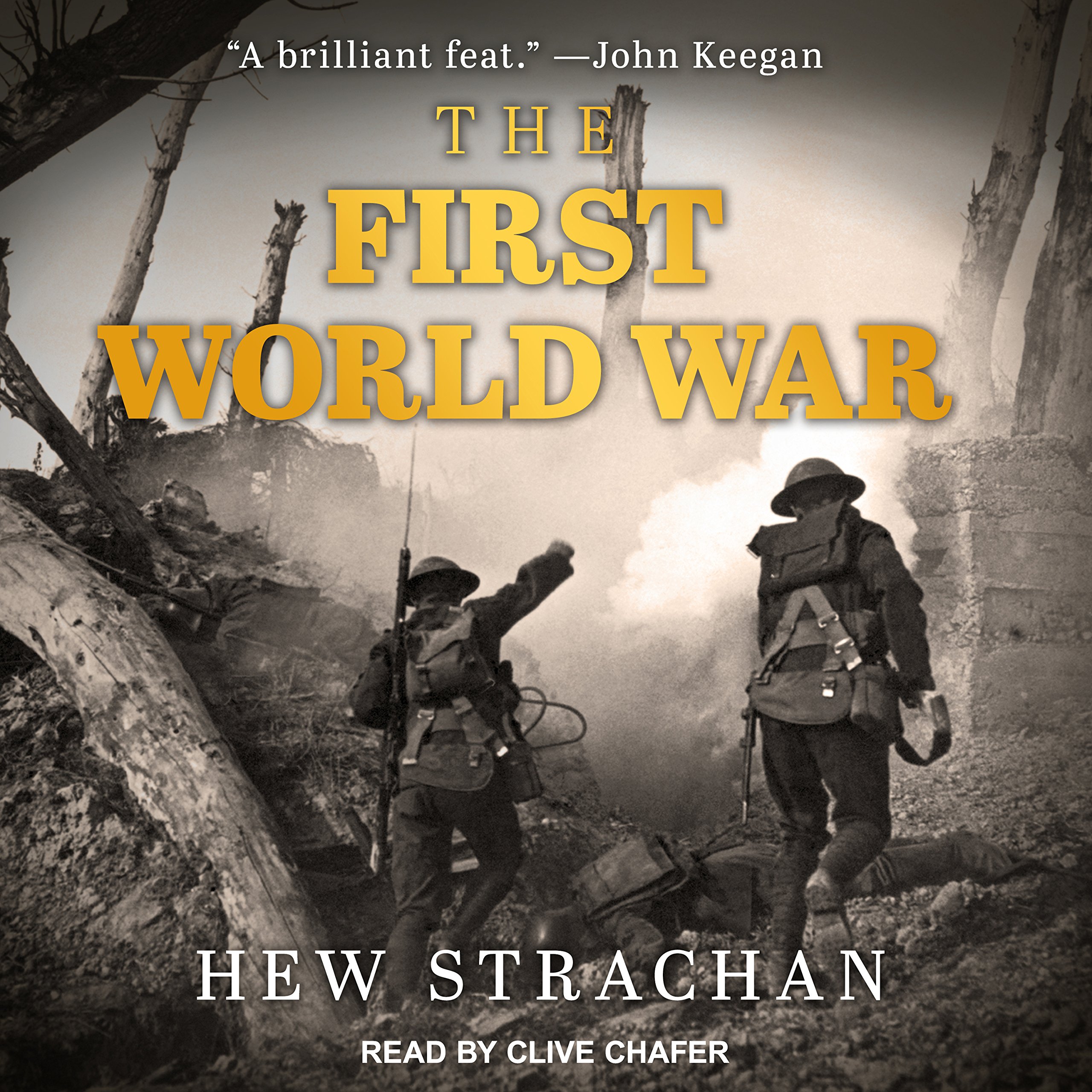 Cover art for The First World War