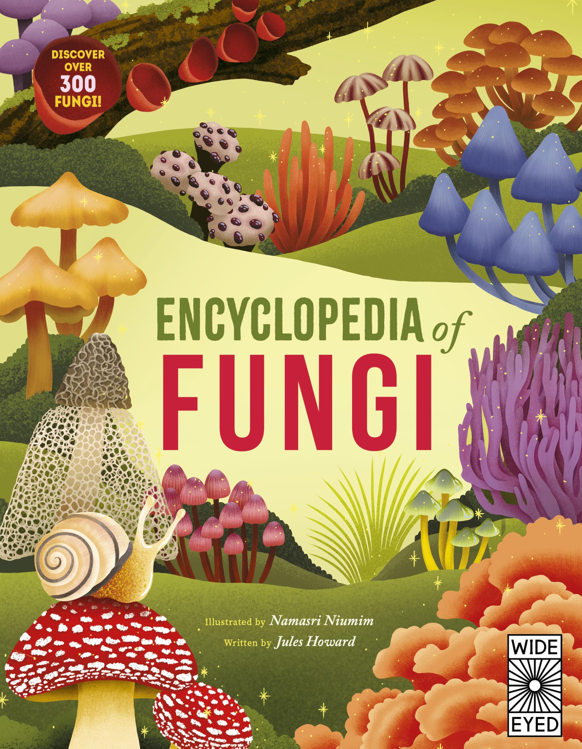 Fungi in the Ancient World 洋書 91QJQNbJN5L.jpg